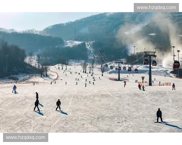 冰雪争锋冬季两项世界杯群英汇聚速度与精准的极限对决